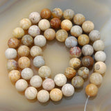 Natural Yellow Coral Fossil Gemstone Round Loose Beads on a 15.5" Strand