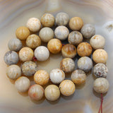Natural Yellow Coral Fossil Gemstone Round Loose Beads on a 15.5" Strand