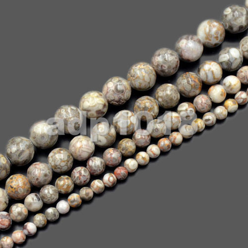 Natural Flowery Cowry Fossil Gemstone Round Loose Beads on a 15.5