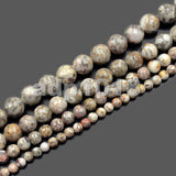 Natural Flowery Cowry Fossil Gemstone Round Loose Beads on a 15.5" Strand