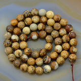 Faceted Natural Picture Jasper Gemstone Round Loose Beads on a 15.5" Strand
